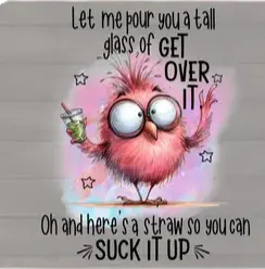 Get Over It Sassy Bird Funny T-Shirt MadewithHugsnLoves