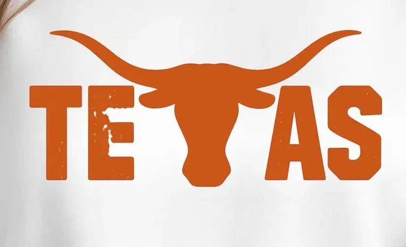 Texas Longhorn Bull T-shirt
